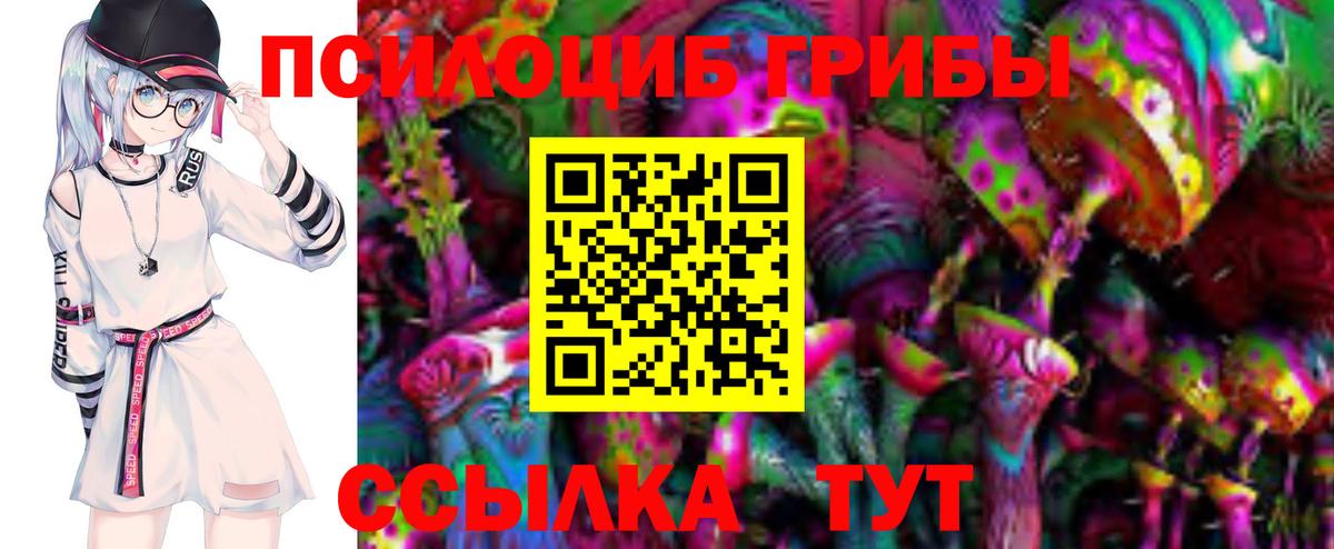 Галлюциногенные грибы Psilocybine cubensis Кунгур